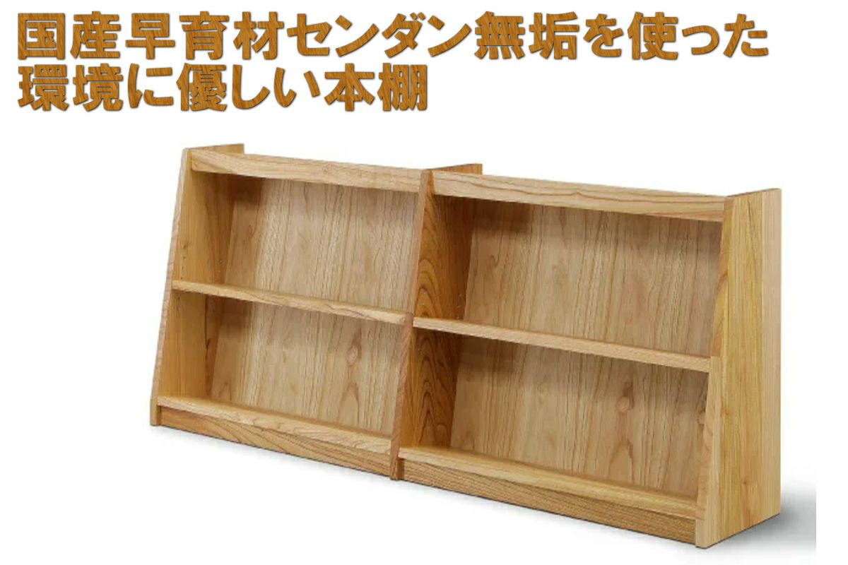 000000004199-01.jpg?size=l&w=