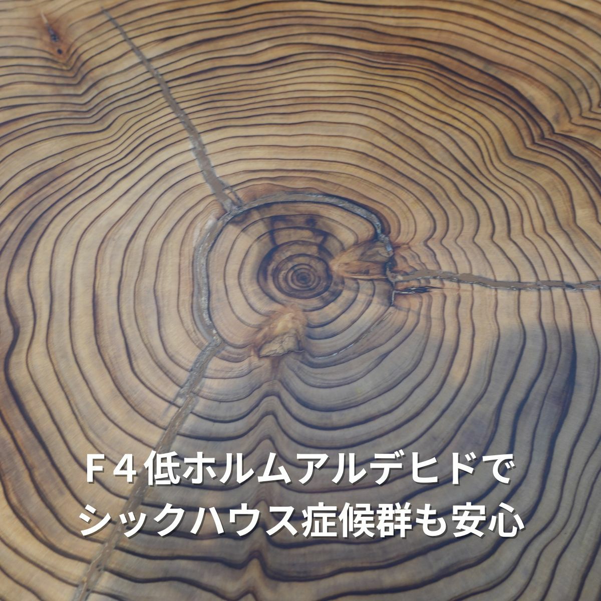 樹齢約100年の小国杉を使用した直径100センチ程の丸太テーブル | 大川